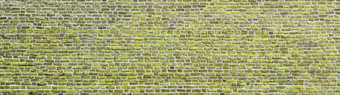 砖墙宽全景光绿色砌筑墙与小砖现代壁纸设计为网络图形艺术<strong>项目</strong>摘要<strong>模板</strong>模拟砖墙宽全景砌筑墙与小砖