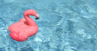 充气粉红色的火烈鸟浮动明亮的蓝色的池水前视图粉红色的火烈鸟池玩具充气粉红色的火烈鸟浮动明亮的蓝色的池水