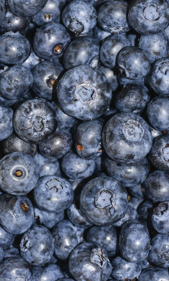 堆蓝莓关闭背景夏天浆果新鲜的蓝莓长海报全景背景堆蓝莓关闭背胶夏天浆果
