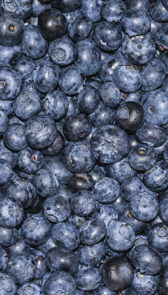堆蓝莓关闭背景夏天浆果新鲜的蓝莓长海报全景背景堆蓝莓关闭背胶夏天浆果