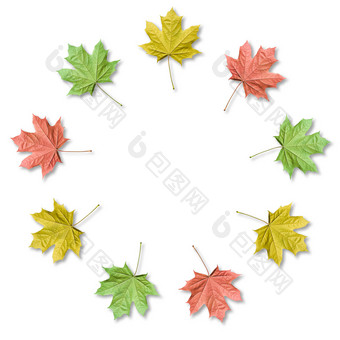 色彩斑斓的枫木叶子有组织的轮框架与复制空间秋天背景枫木叶子有组织的轮框架与复制空间秋天背景