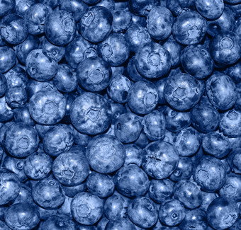堆蓝莓关闭背景夏天浆果新鲜的蓝莓长海报全景背景时尚的横幅健美的经典蓝色的颜色的一年堆蓝莓关闭背景夏天浆果新鲜的蓝莓长海报全景背景
