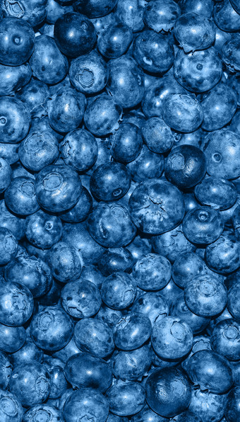 堆蓝莓关闭背景夏天浆果新鲜的蓝莓长海报全景背景时尚的横幅健美的经典蓝色的颜色的一年堆蓝莓关闭背景夏天浆果新鲜的蓝莓长海报全景背景