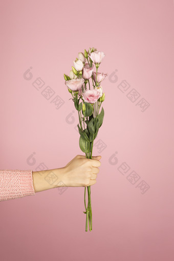 时尚的横幅为情人节一天国际女人的一天母亲一天美丽的花束粉红色的eustoma女手粉红色的背景美丽的花束粉红色的eustoma女手粉红色的背景