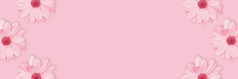 单色粉红色的花花长横幅海报洋甘菊菊花花模式复制空间平躺单色粉红色的花花长横幅海报