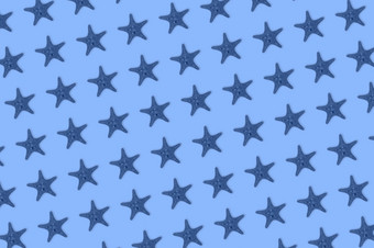 干健美的蓝色的海明星鱼模式蓝色的背景前视图最小的平躺风格横幅海报干健美的蓝色的海明星鱼模式蓝色的背景