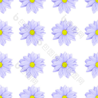 柔和的紫色的淡紫色花花无缝的模式孤立的白色背景洋甘菊菊花花模式复制空间前视图柔和的紫色的淡紫色花花无缝的模式孤立的白色背景洋甘菊菊花花模式复制空间前视图