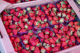 新鲜的草莓扁篮自然多汁的托盘超市食物有机水果篮子草莓托盘收获前特写镜头美味的素食者饮食食物新鲜的草莓扁篮自然多汁的托盘