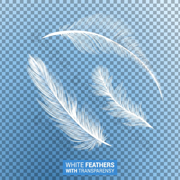 羽毛白色毛茸茸的孤立的下降plumes与透明的效果蓝色的透明的背景现实的鹅鸟羽毛鹅毛笔与绒毛羽毛飞行和下降白色毛茸茸的羽毛现实的透明的效果