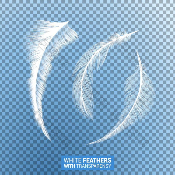 羽毛白色毛茸茸的孤立的下降plumes与透明的效果蓝色的背景现实的鹅鸟羽毛鹅毛笔与绒毛羽毛纹理飞行和下降摘要形状设计白色毛茸茸的羽毛现实的透明的效果