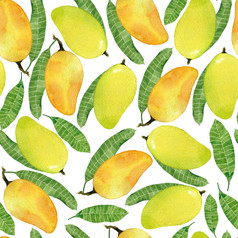 水彩热带无缝的模式与黄色的芒果水果和叶子手画插图孤立的白色背景越南水果水彩无缝的模式与黄色的芒果水果和叶子