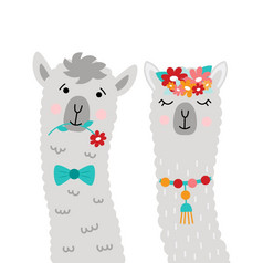夫妇火焰新婚夫妇漂亮的羊驼向量插图与火焰脸为海报明信片t恤贴纸等