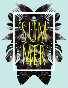 插图词口号夏天广场白色框架的时尚的热带风格的艺术向量黑色的镜子棕榈叶打印时尚花背景