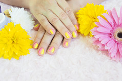 女手修指甲罐子奶油指甲文件非洲菊和菊花与滴水光粉红色的豪华的背景