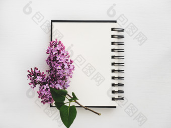 分支明亮的淡紫色和空白页面速写本木表格前视图特写镜头孤立的背景明信片为爱的亲戚朋友和的同事们分支明亮的淡紫色和空白页面速写本