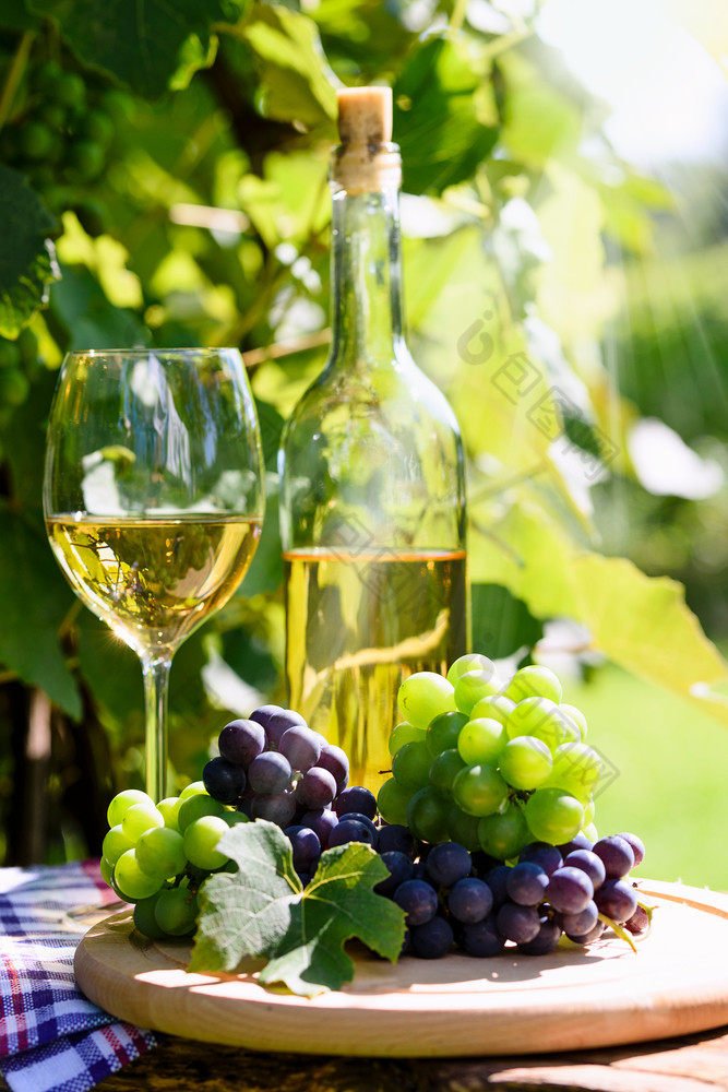 群新鲜的葡萄下一个白色酒瓶和葡萄酒杯的背景乡村葡萄园和阳光