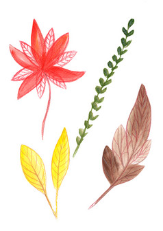 手画彩色的花元素的形式花和叶子不同的颜色