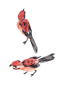手画彩色的水彩铅笔小鸟颜色着色