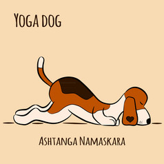 卡通狗显示瑜伽构成活力纳马斯卡拉苏里亚纳马斯卡拉三称呼小猎犬号向量插图瑜伽狗
