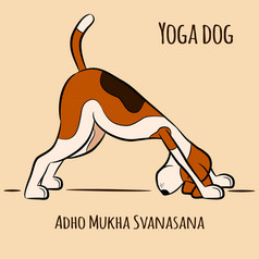 卡通狗显示瑜伽构成阿杜穆卡斯瓦纳萨那向下面对狗向量插图瑜伽狗