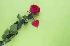 一个红色的玫瑰与心绿色表面情人节rsquo概念