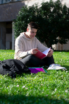 少年坐着的学校草而研究与书