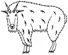 山山羊oreamnos也精神动物黑色的和白色插图轮廓与模式山山羊oreamnos也精神动物黑色的和白色插图轮廓与模式