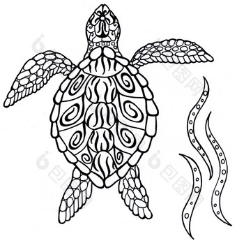海乌龟<strong>精神</strong>动物黑色的和白色插图轮廓与模式海乌龟<strong>精神</strong>动物黑色的和白色插图轮廓与模式