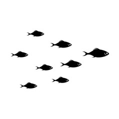 群小鱼黑色的和白色热带鱼孤立的白色水下世界群小鱼热带fishs孤立的白色水下世界