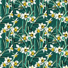 花设计为纺织打印壁纸包装网络背景和其他模式填满无缝的插图与春天盛开的那喀索斯花