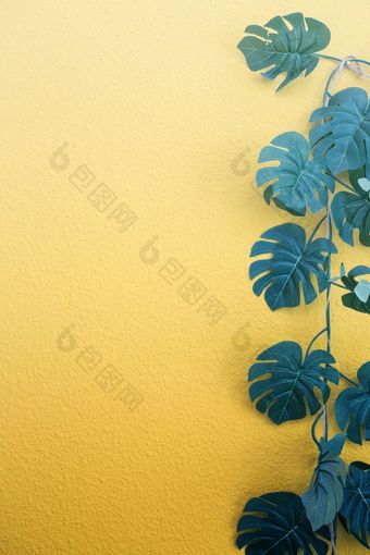 明亮的黄色的画墙框架与绿色热带棕榈叶子阳光与阴影模式夏天背景复古的设计空间为文本明亮的黄色的画墙框架与绿色热带棕榈叶子阳光与阴影模式夏天背景复古的设计