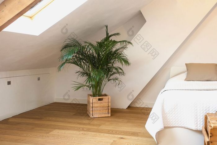 绿色植物篮子现代光卧室白色墙和木地板上现代设计特写镜头复古的绿色植物篮子现代光卧室白色墙和木地板上现代设计特写镜头