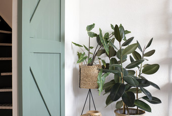 现代生活房间室内与绿色房子植物和绿色滑动精品通过复古的现代设计光现代生活房间室内与绿色房子植物和绿色滑动精品通过复古的现代设计