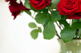 花束美丽的红色的玫瑰绿色花瓶色彩斑斓的背景舒适的首页情人节概念特写镜头花束美丽的红色的玫瑰绿色花瓶色彩斑斓的背景舒适的首页情人节概念