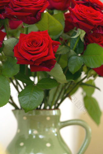花束美丽的红色的玫瑰绿色花瓶色彩斑斓的背景舒适的首页情人节概念特写镜头花束美丽的红色的玫瑰绿色花瓶色彩斑斓的背景舒适的首页情人节概念