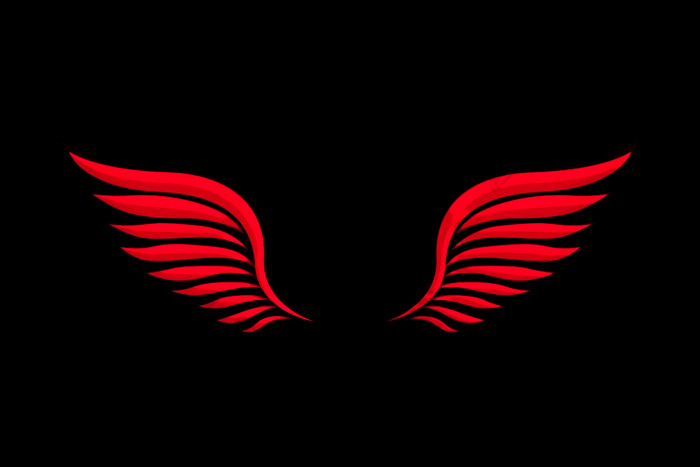 红色的翅膀插图黑色的背景翅膀与羽毛红色的翅膀插图黑色的背景