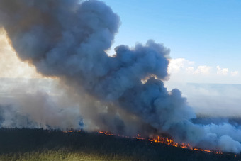 火灾的俄罗斯森林transbaikal森林火燃烧森林火灾俄罗斯森林transbaikal森林火燃烧