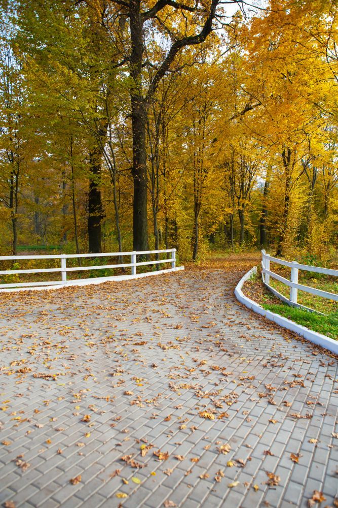 美丽的公园金秋天木白色栅栏美丽的公园金秋天木白色栅栏