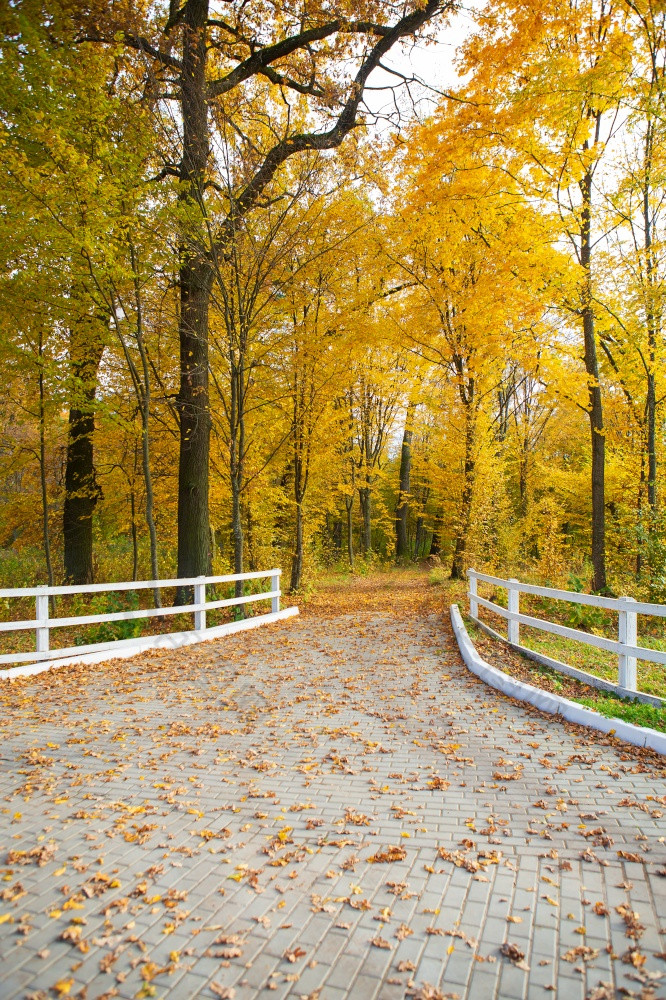 美丽的公园金秋天木白色栅栏美丽的公园金秋天木白色栅栏