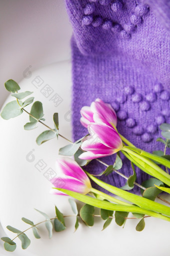 春天美丽的花束紫色的郁金香与桉树白色椅子沿着与紫色的毛衣春天情绪3月明信片为的假期春天美丽的花束紫色的郁金香与桉树白色椅子沿着与紫色的毛衣春天情绪3月明信片为的假期