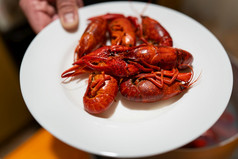 红色的新鲜的开胃的小龙虾白色板美味的食物为啤酒红色的新鲜的开胃的小龙虾白色板美味的食物为啤酒