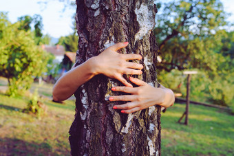 关闭手年轻的女人<strong>拥抱拥抱</strong>树树干她的后院首页<strong>自然拥抱</strong>