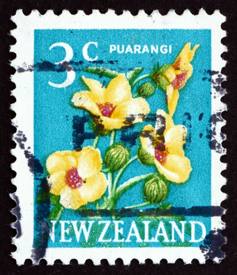 新新西兰约邮票印刷的新新西兰显示Puarangi新新西兰芙蓉芙蓉三重奏开花植物约