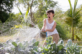 小点男孩在乎为植物<strong>浇水</strong>绿色蔬菜从<strong>浇水</strong>橡胶软管日落农业后院园艺概念简单的生活
