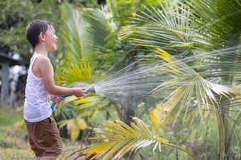 小点男孩在乎为植物浇水绿色蔬菜从浇水橡胶软管日落农业后院园艺概念简单的生活