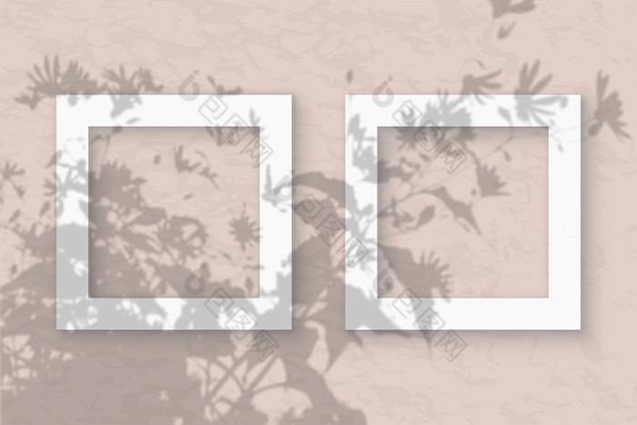 的广场帧柔和的粉红色的墙背景模型覆盖与的植物阴影自然光数据类型转换阴影从的上衣场植物和花平躺前视图的广场帧柔和的粉红色的墙背景模型覆盖与的植物阴影自然光数据类型转换阴影从的上衣场植物和花平躺前视图