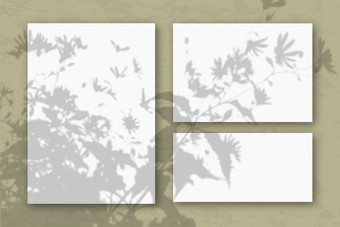几个水平和垂直表白色变形纸对橄榄墙模型覆盖与的植物阴影自然光数据类型<strong>转换</strong>阴影从的上衣场植物和花几个水平和垂直表白色变形纸对橄榄墙模型覆盖与的植物阴影自然光数据类型<strong>转换</strong>阴影从的上衣场植物和花