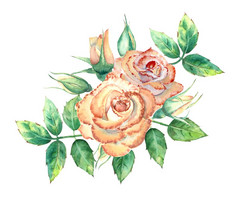 桃子玫瑰绿色叶子开放和关闭花花束花为问候卡片邀请水彩插图桃子玫瑰绿色叶子开放和关闭花花束花为问候卡片邀请水彩插图