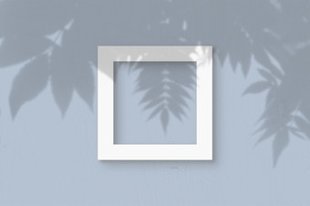 的广场表白色变形纸的蓝色的墙背景模型与覆盖植物阴影自然光数据类型转换阴影从的叶子异国情调的植物平躺前视图的广场表白色变形纸的蓝色的墙背景模型与覆盖植物阴影自然光数据类型转换阴影从的叶子异国情调的植物平