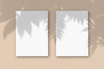 垂直表变形白色纸桃子表格背景模型与覆盖植物阴影自然光数据类型转换阴影从异国情调的植物水平取向垂直表变形白色纸桃子表格背景模型覆盖与的植物阴影自然光数据类型转换阴影从异国情调的植物水平取向